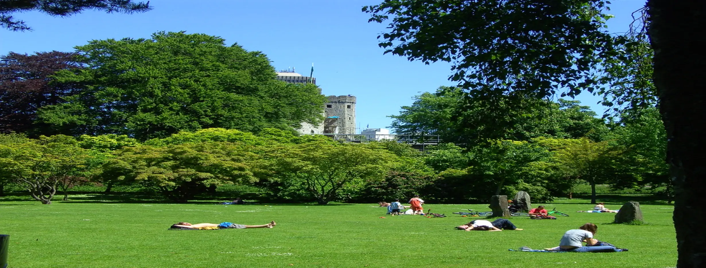 Image for Bute Park